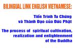 bilingual-link-english-vietnamese-01