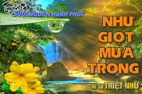 5 SNHP Nhu Giot Mua Trong