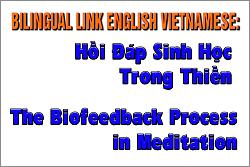 bilingual-link-english-vietnamese-03