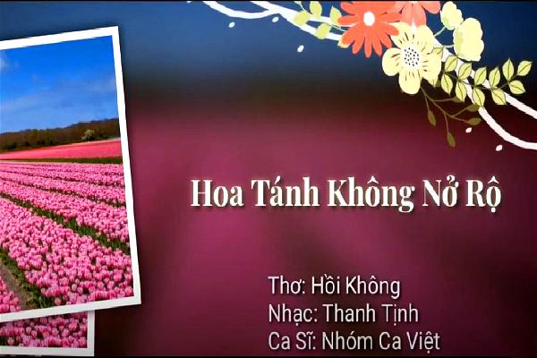 DD0295 Hoa Tanh Khong No Ro