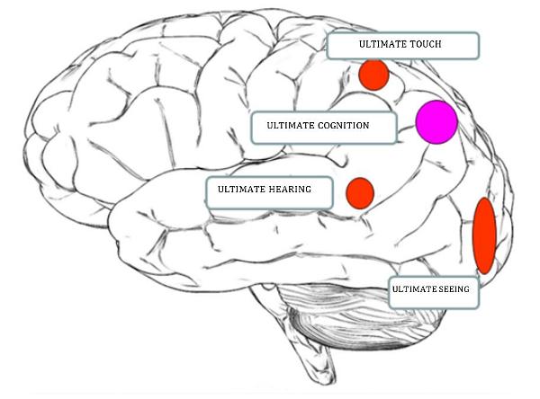 ASPECTS OF KNOWING in WORDLESS AWARENESS and MINDFULNESS