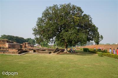 Figure 64: Nền gạch của Đại học Nalanda khi xưa
