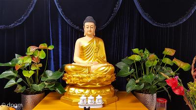 Hình Đức Phật tại chánh điện